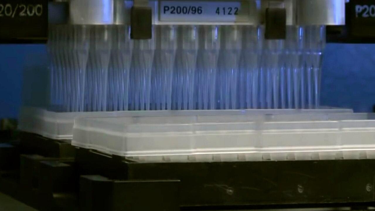 Bras robotisé de laboratoire à double pipetage manipulant des plaques d'analyse